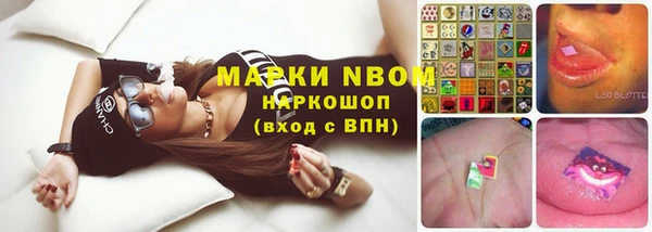 прущая мука Алзамай