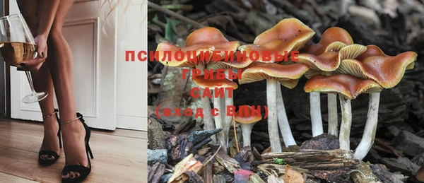 дмт Алексеевка