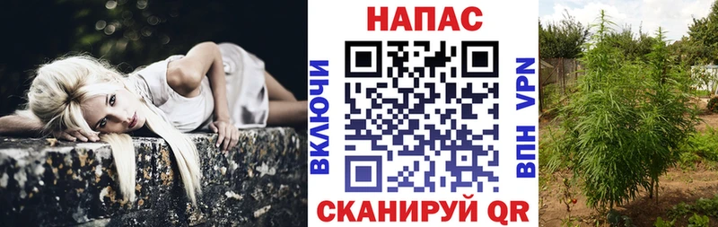 Каннабис план  Оханск 